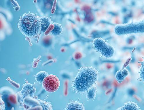 Anti-Virus Wipes from Davis & Moore: A Practical Solution for Everyday Hygiene